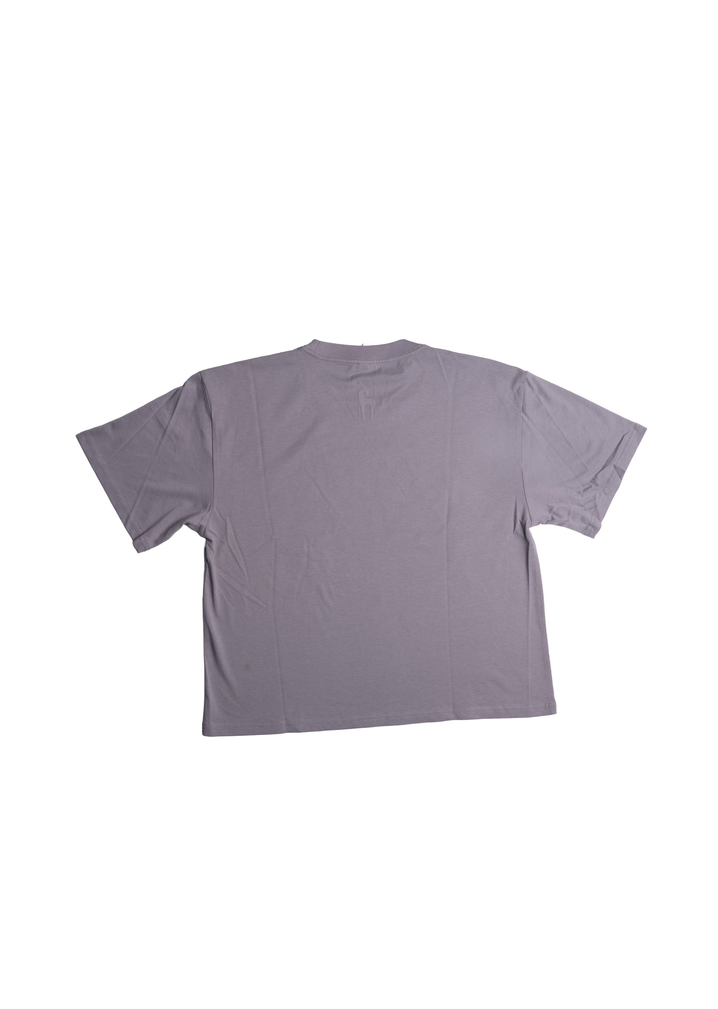 Women's AE Silver/Grey tee